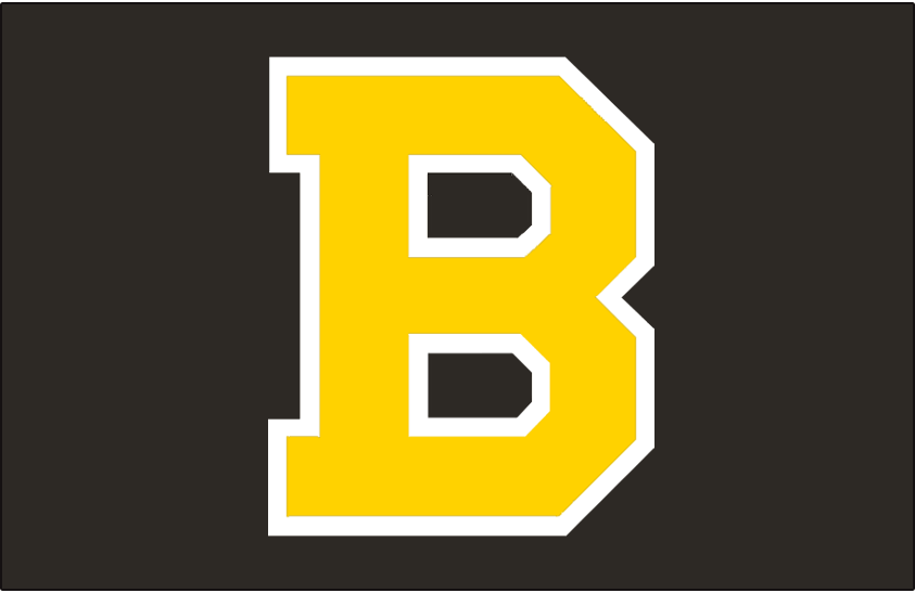 Boston Bruins 1948-1955 Jersey Logo iron on transfers for fabric